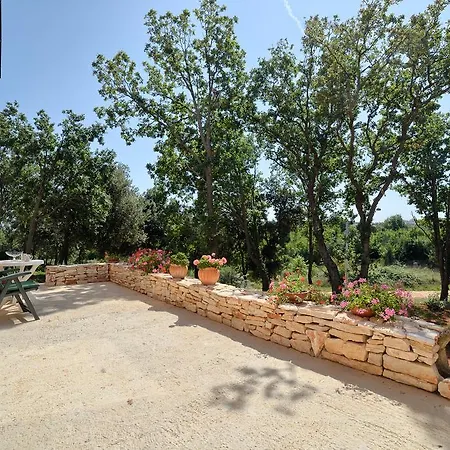 Beautiful Palera With Private Pool Near Pula