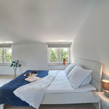 Beautiful Palera With Private Pool Near Pula